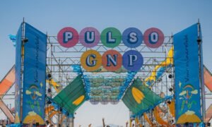 pulso gnp